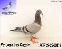 POR 22-2242059